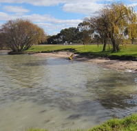 Kangaroo Lake Caravan Park - Airlie Beach Holiday