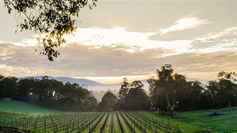 Ainsworth Estate - Airlie Beach Holiday 1