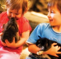 Macka's Farm - Airlie Beach Holiday