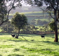Bellevue Farmstay - Airlie Beach Holiday
