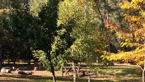 Schusters Lodge - Airlie Beach Holiday 6