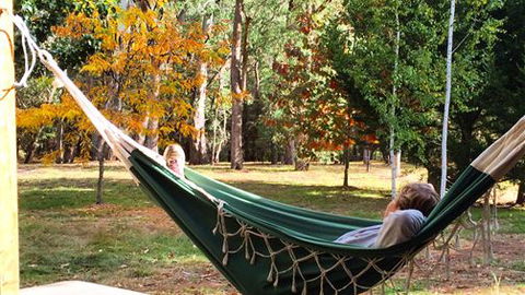 Schusters Lodge - Airlie Beach Holiday 5