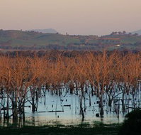 Salisbury - Airlie Beach Holiday