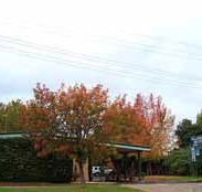 Allambie Motel Pty Ltd - Airlie Beach Holiday
