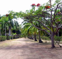 Alva Beach Tourist Park - Airlie Beach Holiday