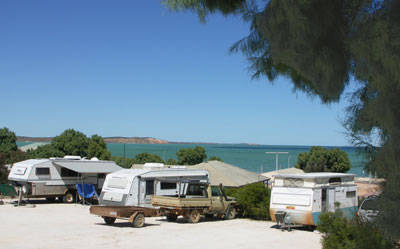 Blue Dolphin Caravan Park & Holiday Village - Airlie Beach Holiday 0