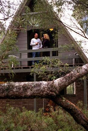 Caves Road Chalets - Airlie Beach Holiday 0