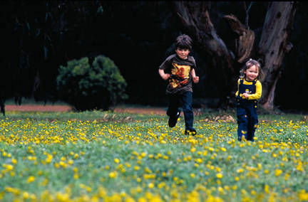 Caves Road Chalets - Airlie Beach Holiday 3