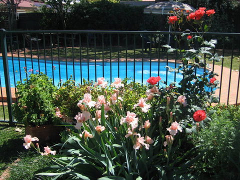 Country Apartments - Airlie Beach Holiday 4