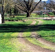 Mongans Bridge Camping Park - Airlie Beach Holiday