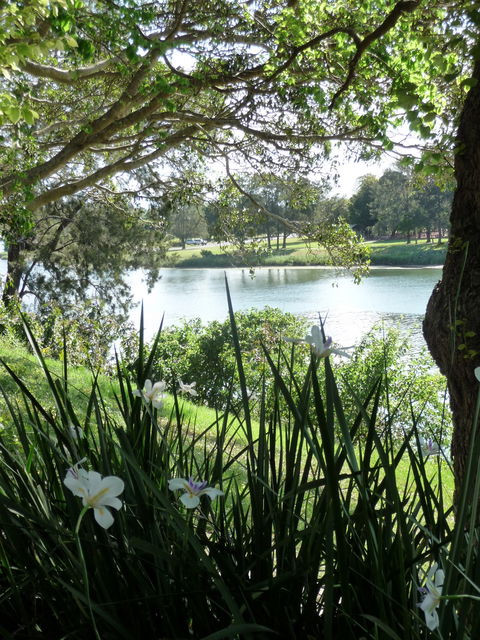 Netherby House - Airlie Beach Holiday 6