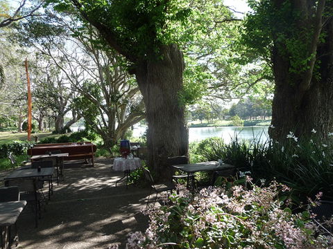 Netherby House - Airlie Beach Holiday 5