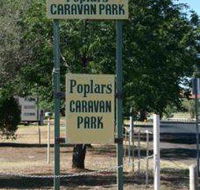 Poplars Caravan Park - Airlie Beach Holiday