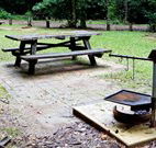Bellbird campground - Airlie Beach Holiday