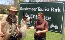 Bendemeer NSW Airlie Beach Holiday