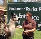 Bendemeer Tourist Park - Airlie Beach Holiday