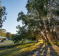 Delicate campground - Airlie Beach Holiday