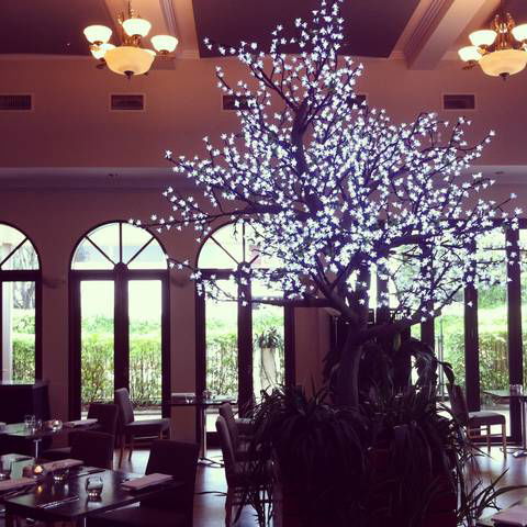 Shangri-La Gardens - Airlie Beach Holiday 1