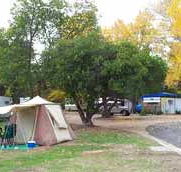 Wedderburn Pioneer Caravan Park - Airlie Beach Holiday