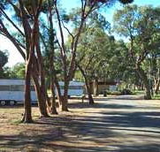 Wycheproof Caravan Park - Airlie Beach Holiday