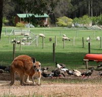 Diamond Forest Cottages and Farm Stay - Airlie Beach Holiday