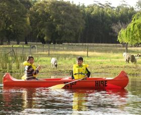 Diamond Forest Cottages And Farm Stay - Airlie Beach Holiday 2