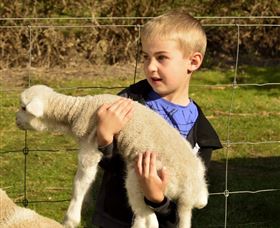 Diamond Forest Cottages And Farm Stay - Airlie Beach Holiday 1