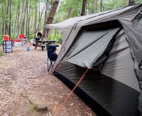 WA Wilderness Catered Camping At Big Brook Arboretum - Airlie Beach Holiday 0