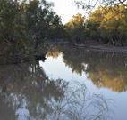 Four Mile Camping Reserve - Airlie Beach Holiday