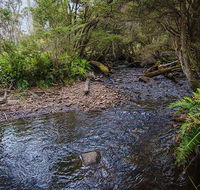 Horse Swamp campground - Airlie Beach Holiday