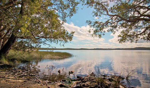 Johnsons Beach Campground - Airlie Beach Holiday 1