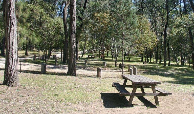 Atholwood NSW Airlie Beach Holiday