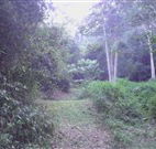 Macas Camping Ground - Airlie Beach Holiday