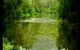 Mangrove Yoga Ashram - thumb 0