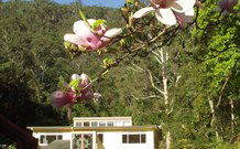 Mangrove Yoga Ashram - Airlie Beach Holiday 2