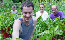 Mangrove Yoga Ashram - Airlie Beach Holiday 8