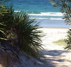 Myola Tourist Resort Caravan Park - Airlie Beach Holiday