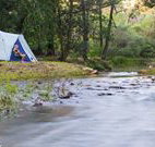 Nymboida Canoe Centre - Airlie Beach Holiday
