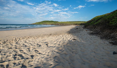 Racecourse Campground - Airlie Beach Holiday 2