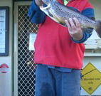 Rainbow Pines Tourist Caravan Park - Airlie Beach Holiday