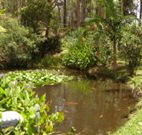 Tallowood Ridge B and B - Airlie Beach Holiday