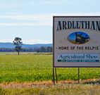 The Ardlethan Kelpie Caravan Park - Airlie Beach Holiday