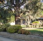 Hamilton Hume Motor Inn - Yass - Airlie Beach Holiday