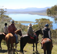 Reynella Homestead and Horseback Rides - Airlie Beach Holiday
