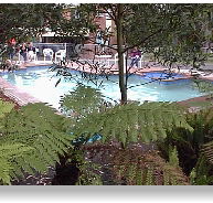 Motel Marengo - Airlie Beach Holiday