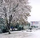 Maneroo Motel - Airlie Beach Holiday
