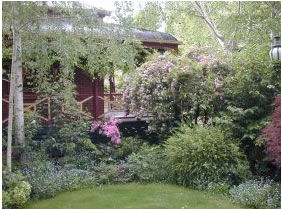 FINCHES OF BEECHWORTH - Airlie Beach Holiday 1