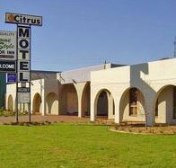 Citrus Motel - Airlie Beach Holiday