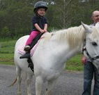 Mansfield Cottage Barrington Tops Accommodation - Airlie Beach Holiday