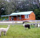 Moorallie Cottage Farm Stay - Airlie Beach Holiday
